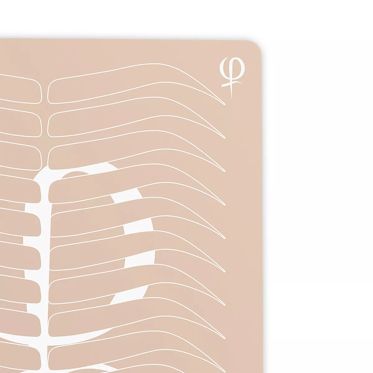 practising latex printed shape and outlines 3pcs 2.jpg